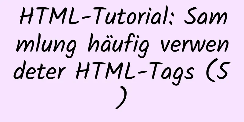 HTML-Tutorial: Sammlung häufig verwendeter HTML-Tags (5)