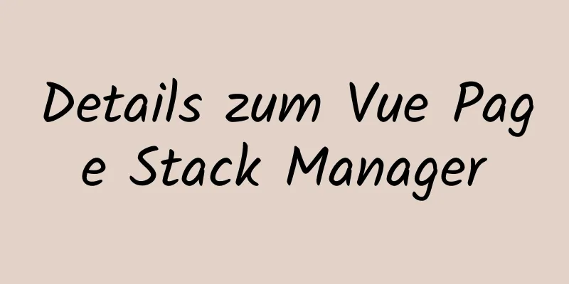 Details zum Vue Page Stack Manager