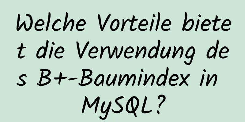 Welche Vorteile bietet die Verwendung des B+-Baumindex in MySQL?