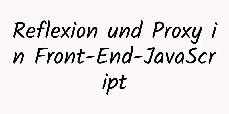 Reflexion und Proxy in Front-End-JavaScript