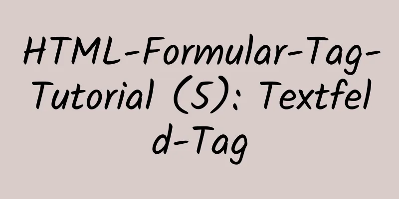 HTML-Formular-Tag-Tutorial (5): Textfeld-Tag