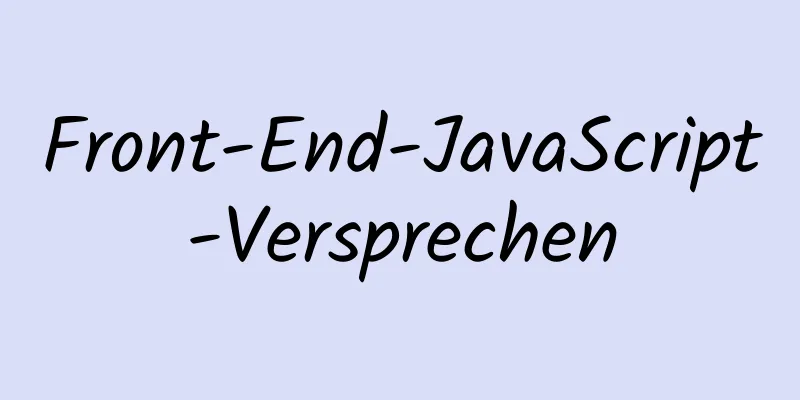 Front-End-JavaScript-Versprechen