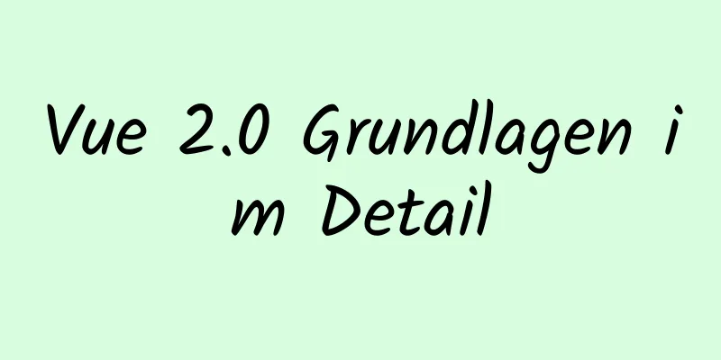 Vue 2.0 Grundlagen im Detail