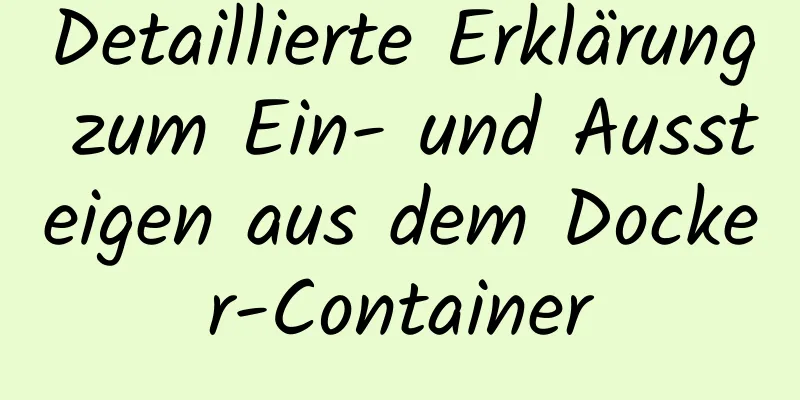 Detaillierte Erklärung zum Ein- und Aussteigen aus dem Docker-Container