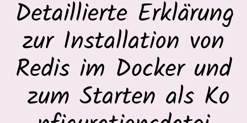 Detaillierte Erklärung zur Installation von Redis im Docker und zum Starten als Konfigurationsdatei