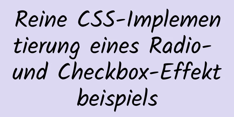 Reine CSS-Implementierung eines Radio- und Checkbox-Effektbeispiels