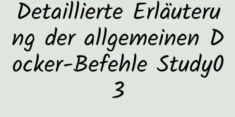 Detaillierte Erläuterung der allgemeinen Docker-Befehle Study03