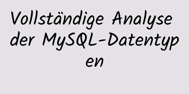 Vollständige Analyse der MySQL-Datentypen