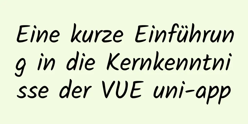 Eine kurze Einführung in die Kernkenntnisse der VUE uni-app