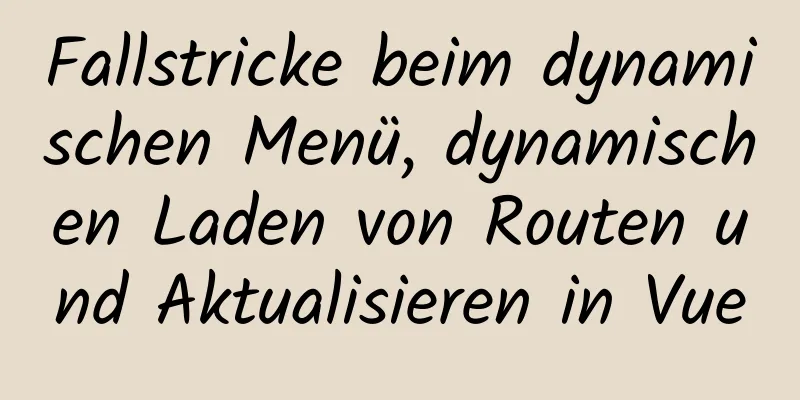 Fallstricke beim dynamischen Menü, dynamischen Laden von Routen und Aktualisieren in Vue