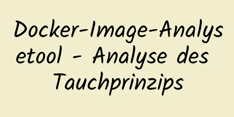 Docker-Image-Analysetool - Analyse des Tauchprinzips