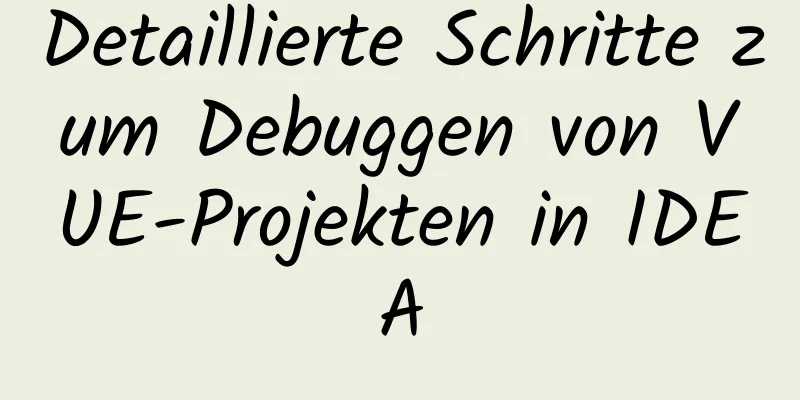 Detaillierte Schritte zum Debuggen von VUE-Projekten in IDEA