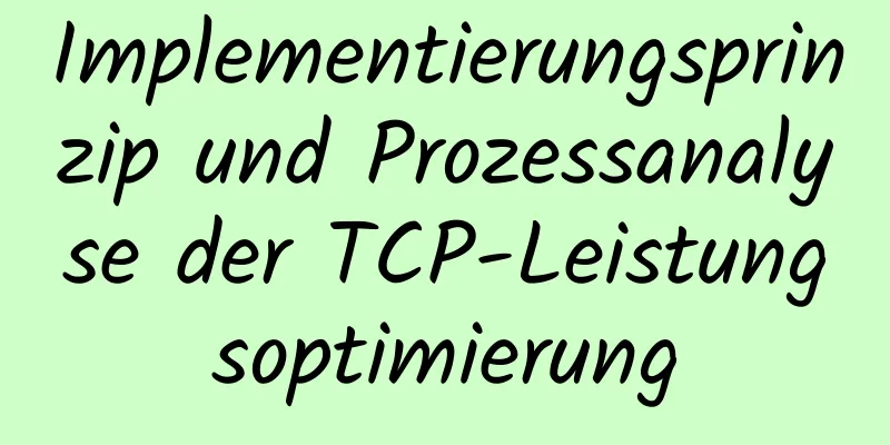 Implementierungsprinzip und Prozessanalyse der TCP-Leistungsoptimierung