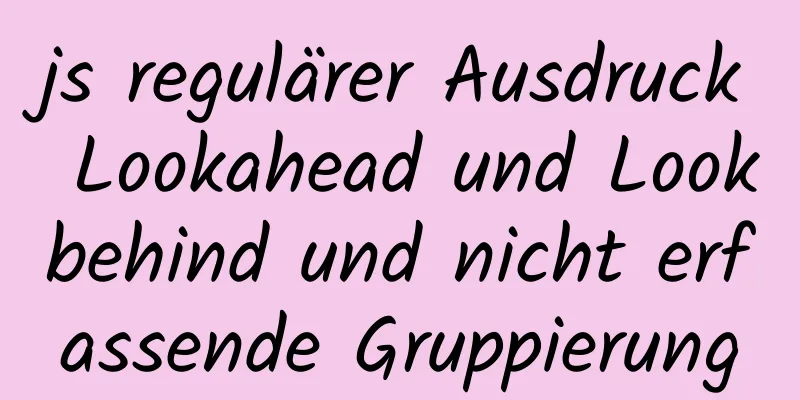 js regulärer Ausdruck Lookahead und Lookbehind und nicht erfassende Gruppierung