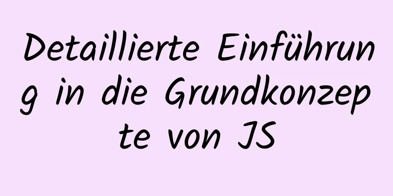 Detaillierte Einführung in die Grundkonzepte von JS