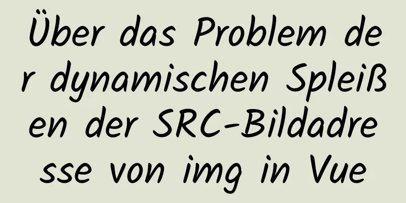 Über das Problem der dynamischen Spleißen der SRC-Bildadresse von img in Vue