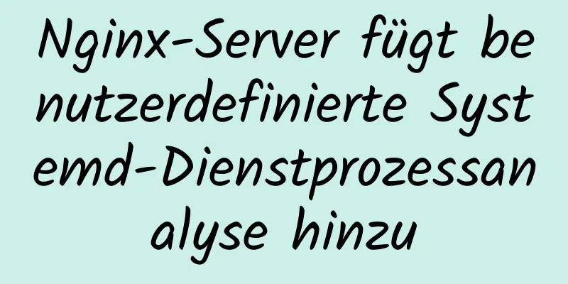 Nginx-Server fügt benutzerdefinierte Systemd-Dienstprozessanalyse hinzu