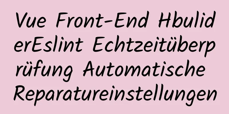 Vue Front-End HbuliderEslint Echtzeitüberprüfung Automatische Reparatureinstellungen