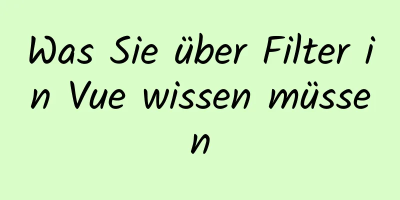 Was Sie über Filter in Vue wissen müssen