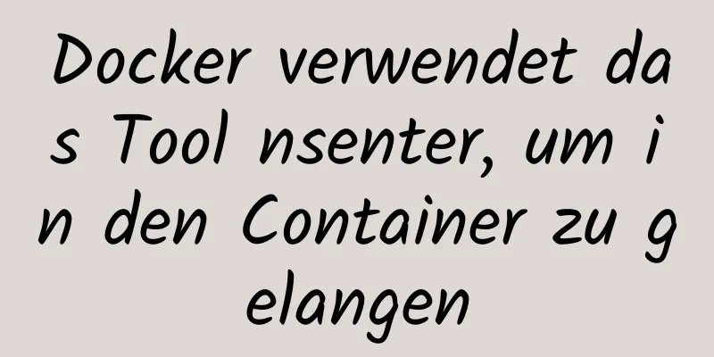 Docker verwendet das Tool nsenter, um in den Container zu gelangen