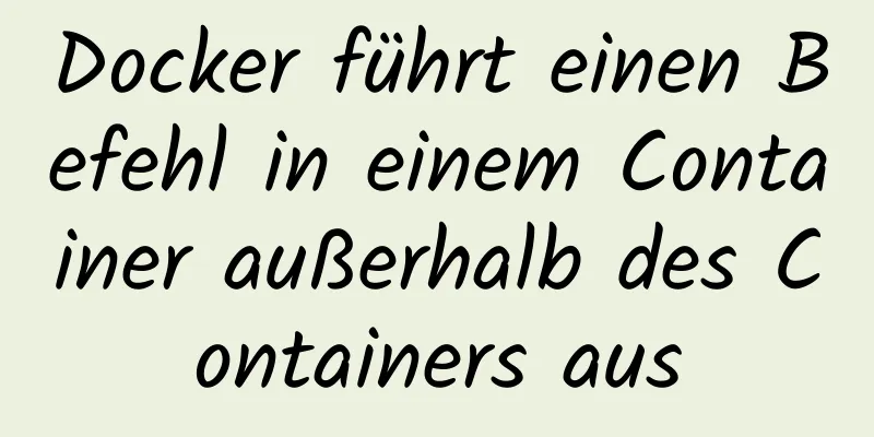 Docker führt einen Befehl in einem Container außerhalb des Containers aus