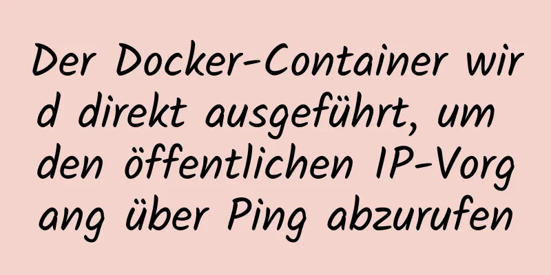 Der Docker-Container wird direkt ausgeführt, um den öffentlichen IP-Vorgang über Ping abzurufen