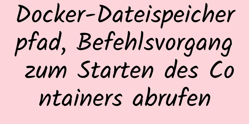 Docker-Dateispeicherpfad, Befehlsvorgang zum Starten des Containers abrufen