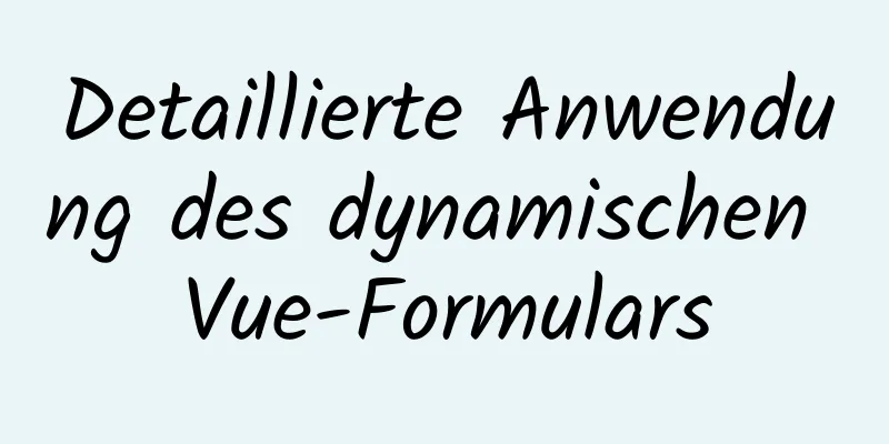 Detaillierte Anwendung des dynamischen Vue-Formulars