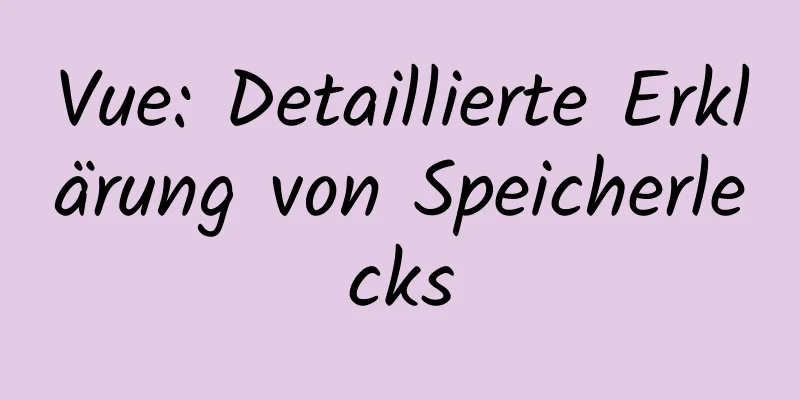 Vue: Detaillierte Erklärung von Speicherlecks