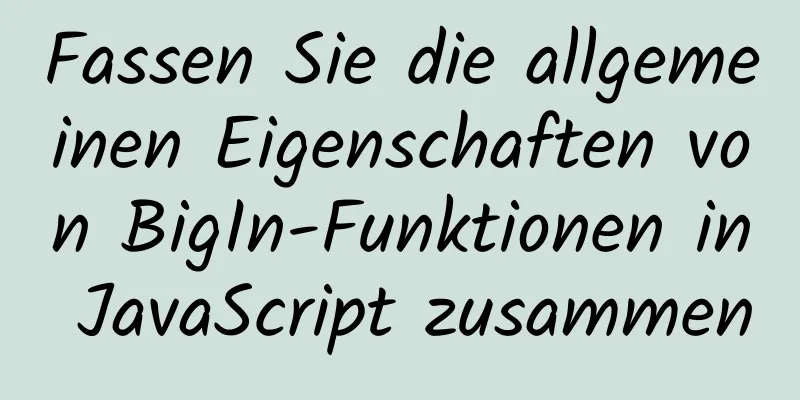 Fassen Sie die allgemeinen Eigenschaften von BigIn-Funktionen in JavaScript zusammen