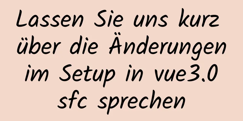 Lassen Sie uns kurz über die Änderungen im Setup in vue3.0 sfc sprechen