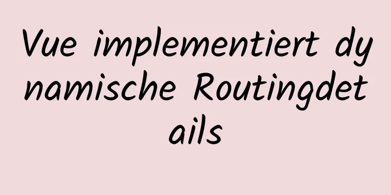 Vue implementiert dynamische Routingdetails