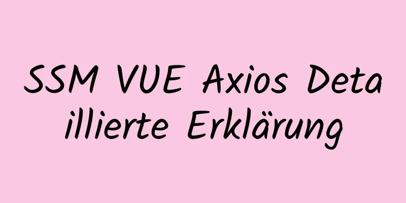 SSM VUE Axios Detaillierte Erklärung