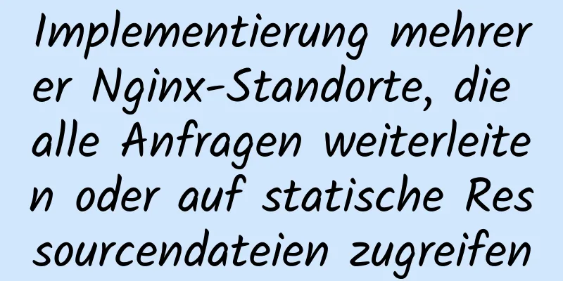 Implementierung mehrerer Nginx-Standorte, die alle Anfragen weiterleiten oder auf statische Ressourcendateien zugreifen