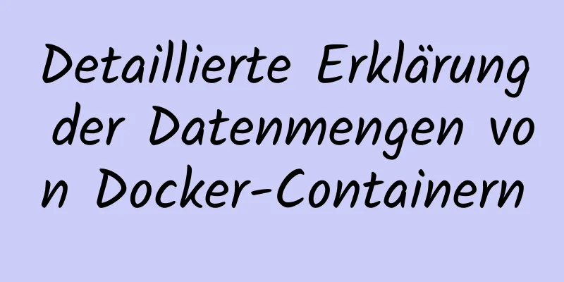 Detaillierte Erklärung der Datenmengen von Docker-Containern