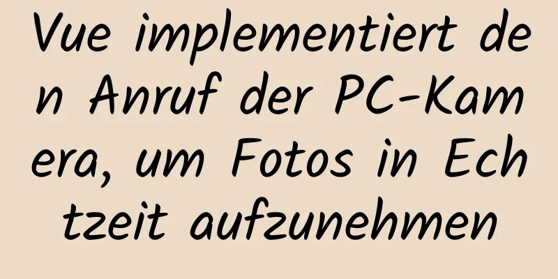 Vue implementiert den Anruf der PC-Kamera, um Fotos in Echtzeit aufzunehmen