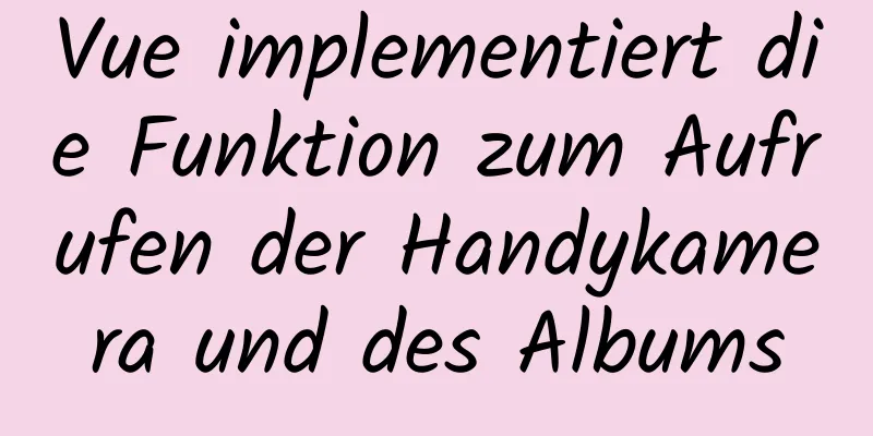 Vue implementiert die Funktion zum Aufrufen der Handykamera und des Albums