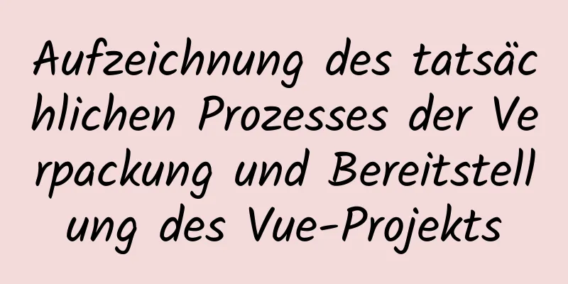 Aufzeichnung des tatsächlichen Prozesses der Verpackung und Bereitstellung des Vue-Projekts