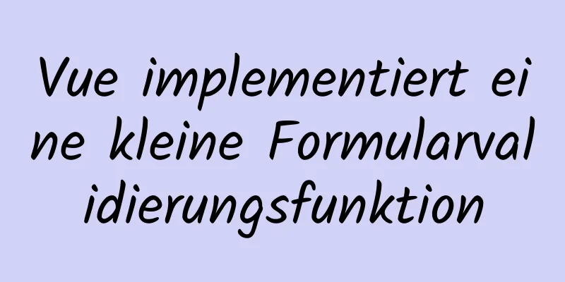 Vue implementiert eine kleine Formularvalidierungsfunktion