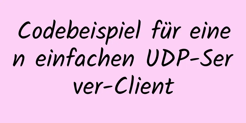 Codebeispiel für einen einfachen UDP-Server-Client