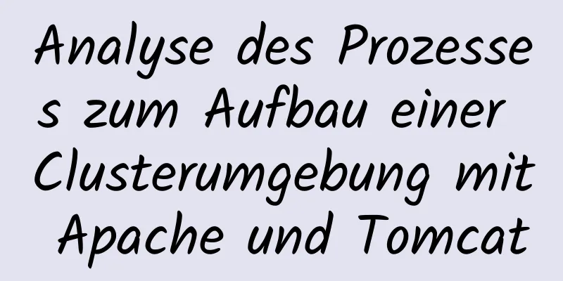 Analyse des Prozesses zum Aufbau einer Clusterumgebung mit Apache und Tomcat