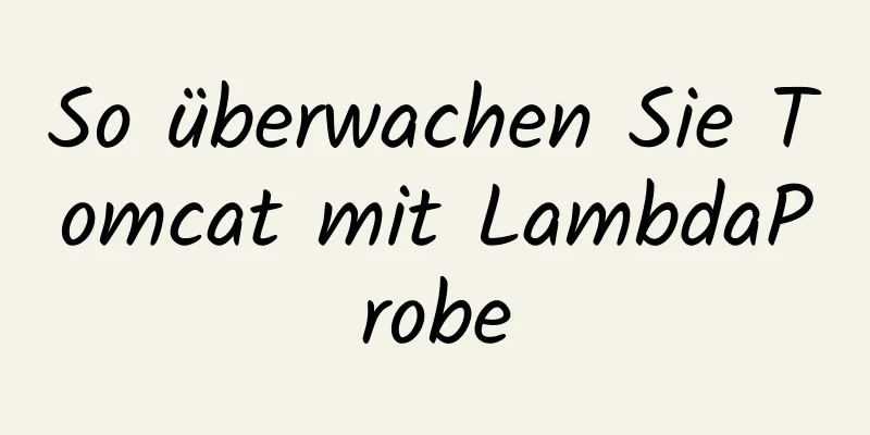 So überwachen Sie Tomcat mit LambdaProbe