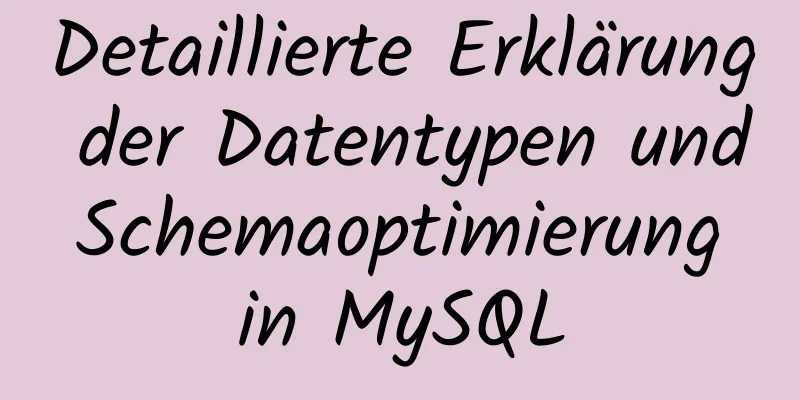 Detaillierte Erklärung der Datentypen und Schemaoptimierung in MySQL