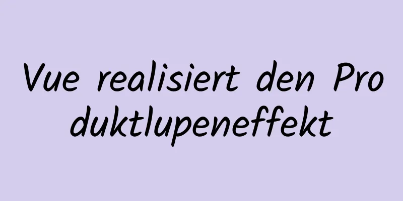 Vue realisiert den Produktlupeneffekt