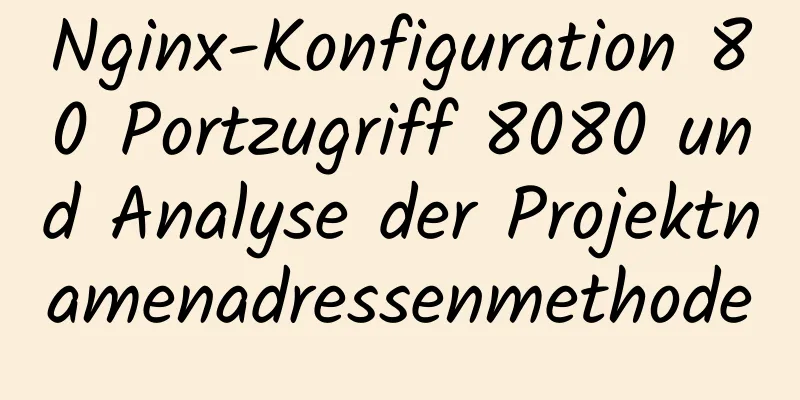 Nginx-Konfiguration 80 Portzugriff 8080 und Analyse der Projektnamenadressenmethode