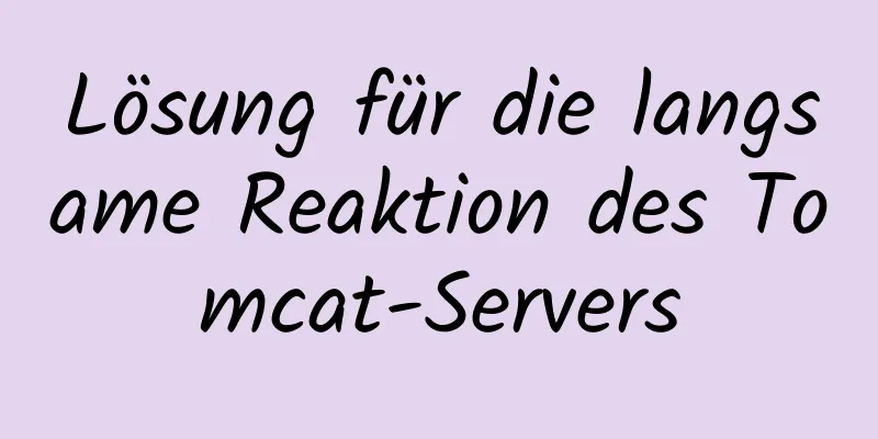 Lösung für die langsame Reaktion des Tomcat-Servers