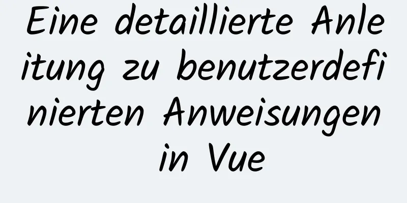 Eine detaillierte Anleitung zu benutzerdefinierten Anweisungen in Vue