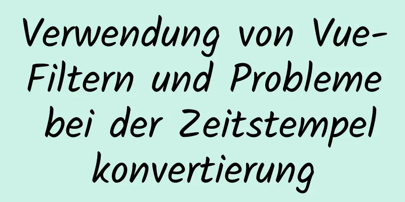 Verwendung von Vue-Filtern und Probleme bei der Zeitstempelkonvertierung