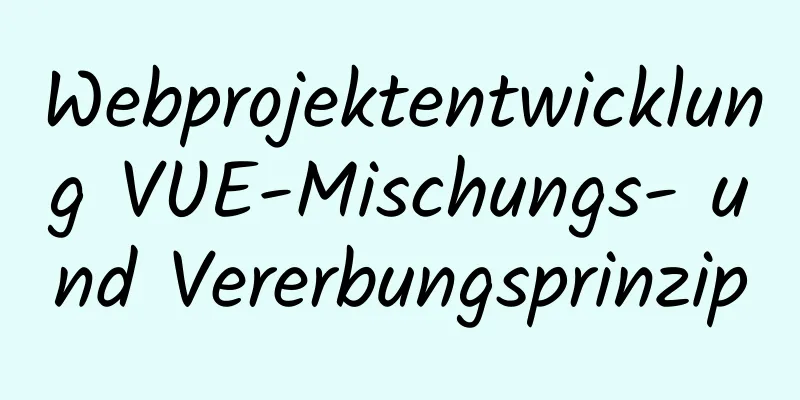 Webprojektentwicklung VUE-Mischungs- und Vererbungsprinzip