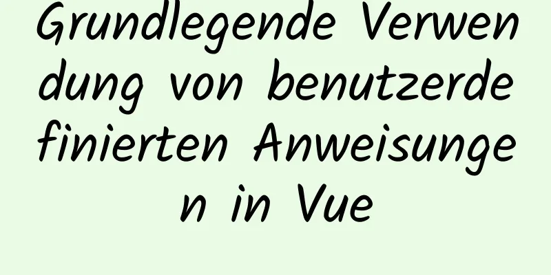 Grundlegende Verwendung von benutzerdefinierten Anweisungen in Vue